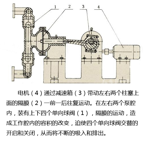 電動隔膜泵結構圖